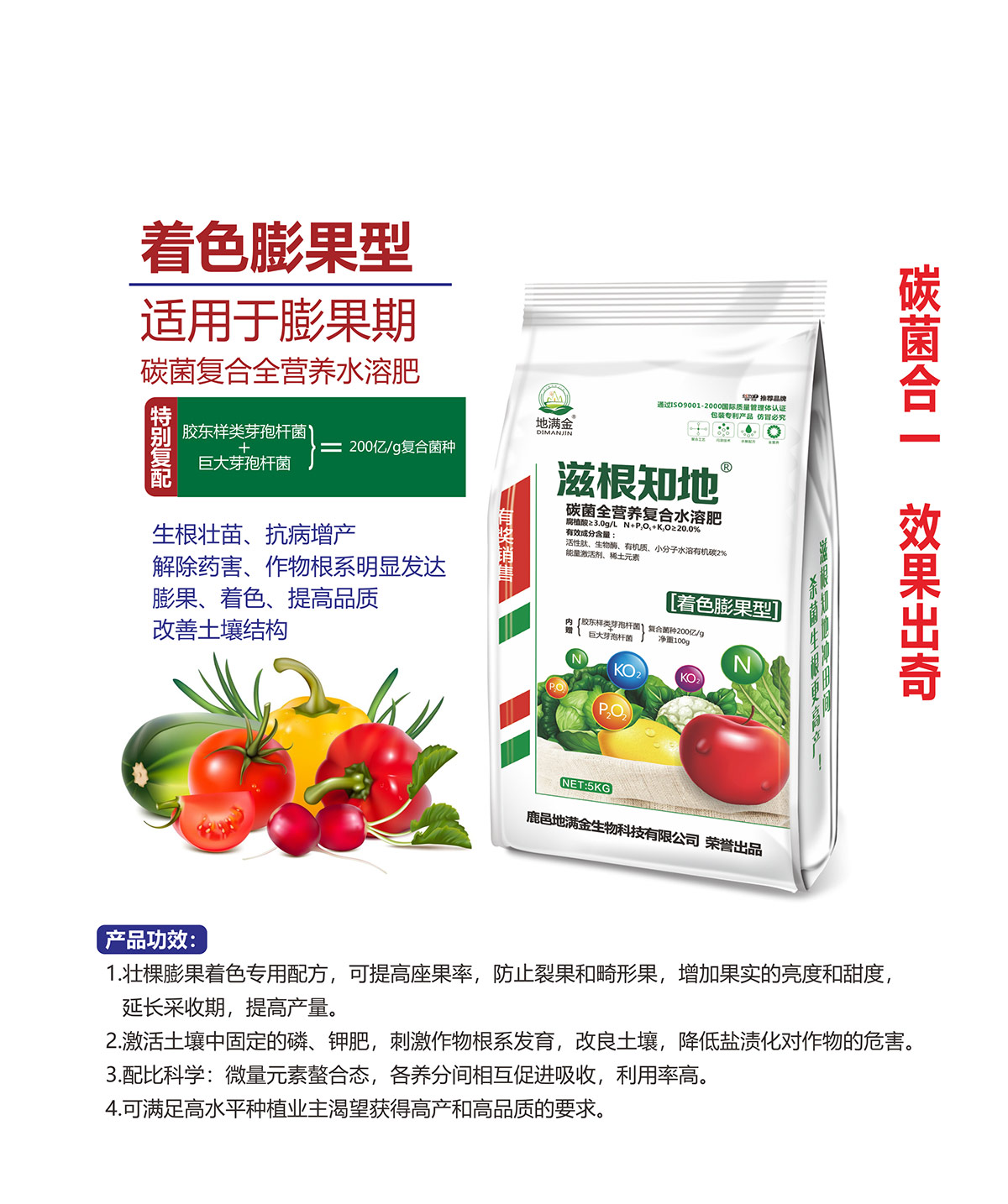 着色膨果型.jpg