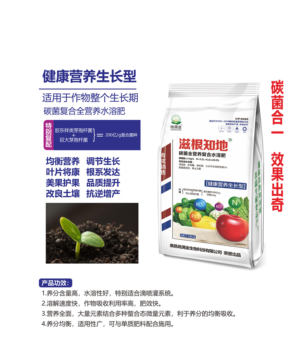 健康营养生长型.jpg