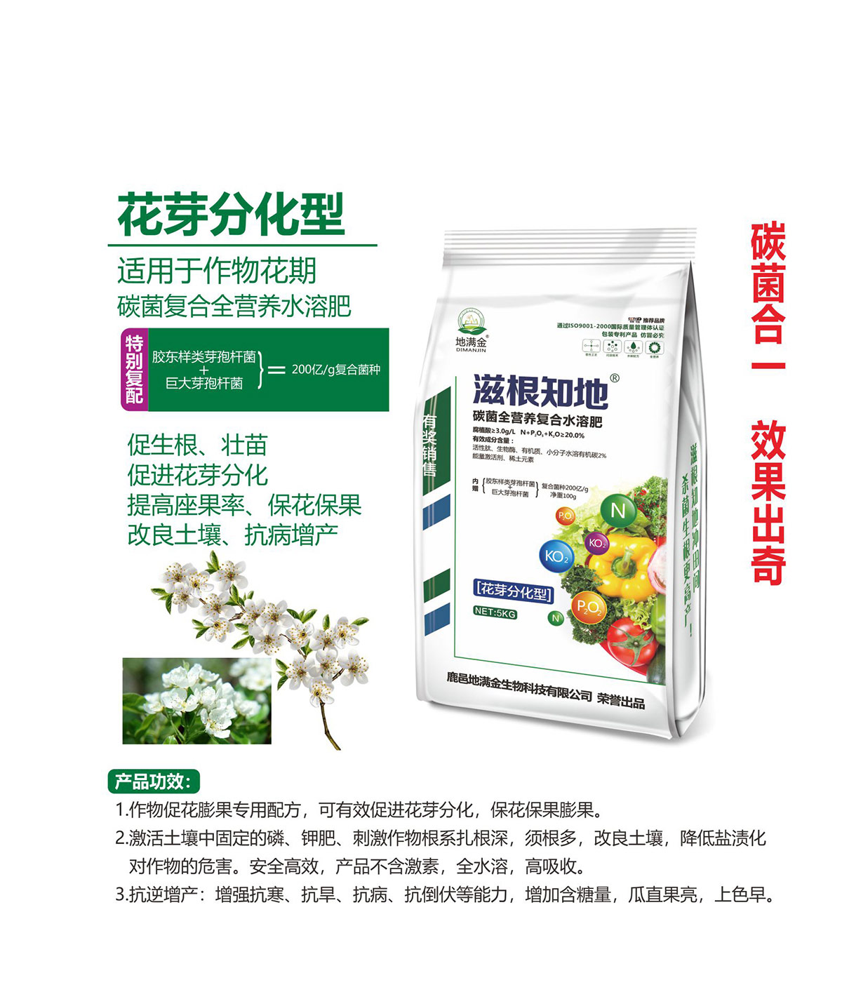 花芽分化型.jpg
