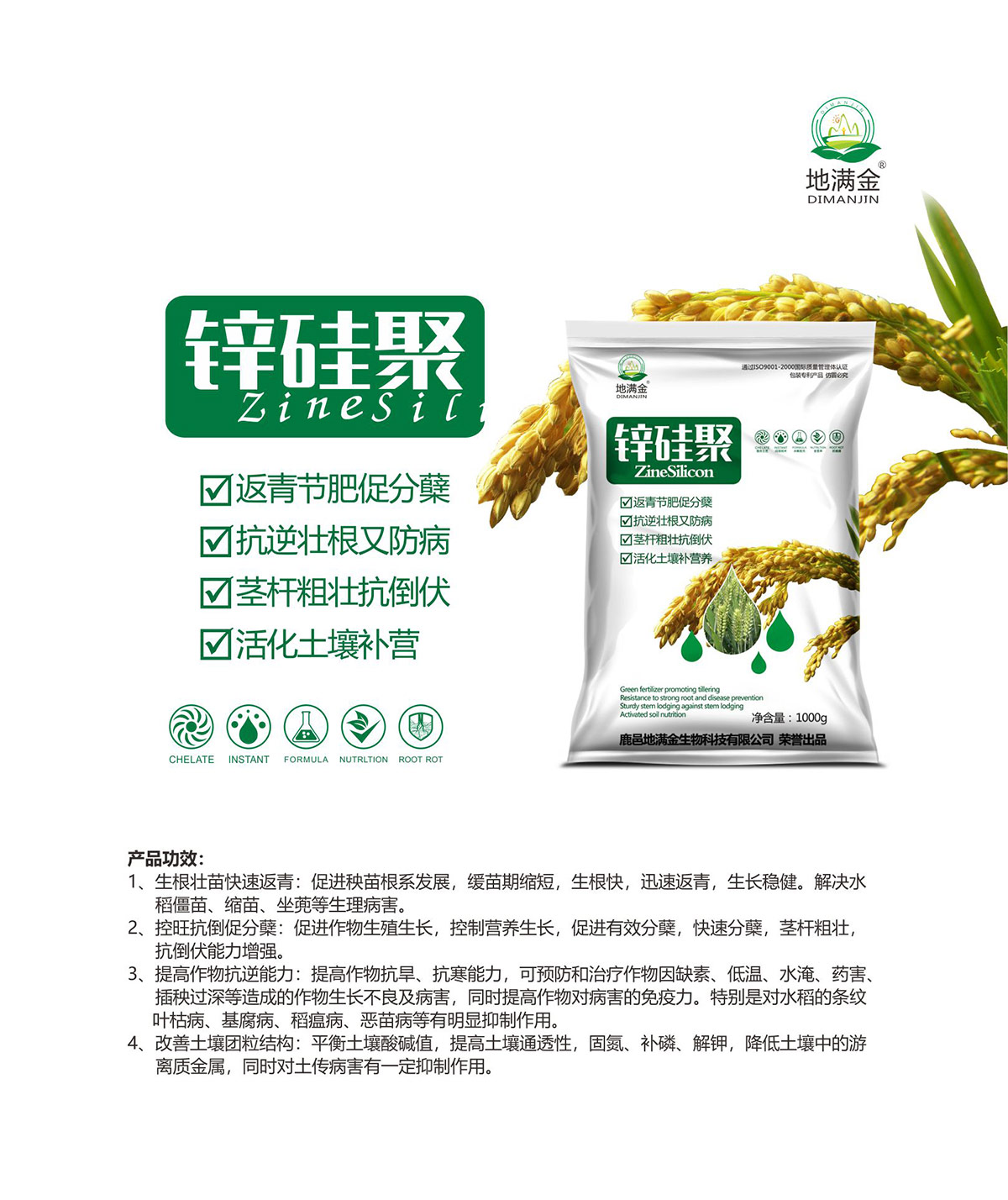 锌硅聚.jpg